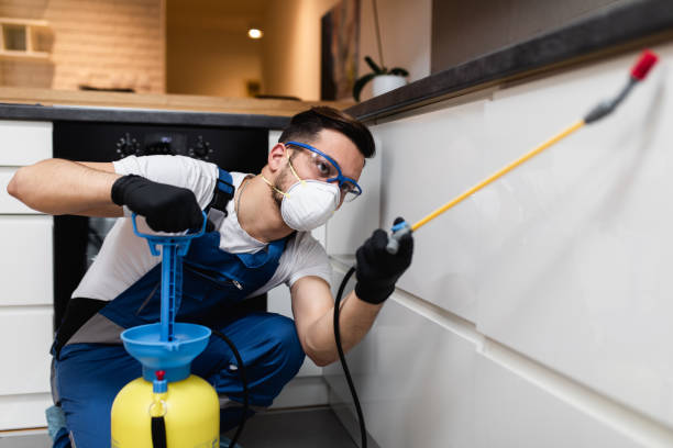 Best Cockroach Control Services  in Cementon, PA