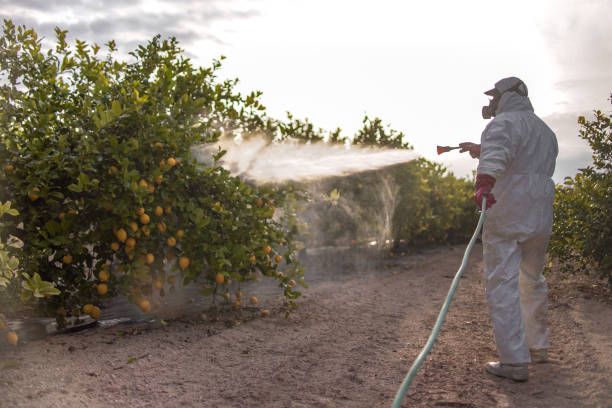Best Residential Pest Control  in Cementon, PA