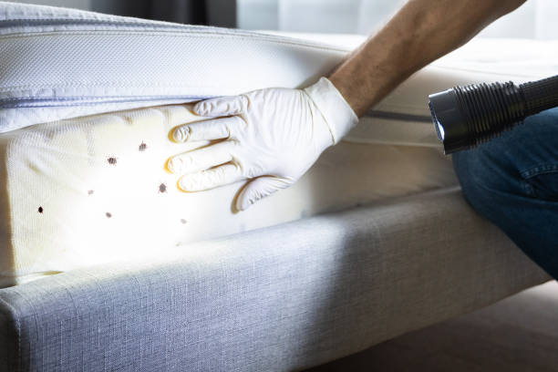 Best Pest Prevention Services  in Cementon, PA