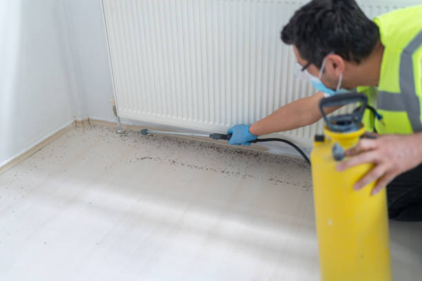 Best Pest Control Near Me  in Cementon, PA