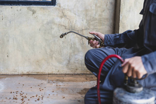 Best Best Pest Control Companies  in Cementon, PA