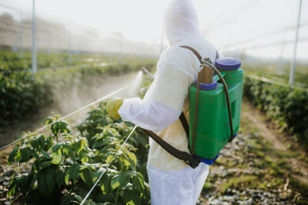 Best Pest Removal Services  in Cementon, PA